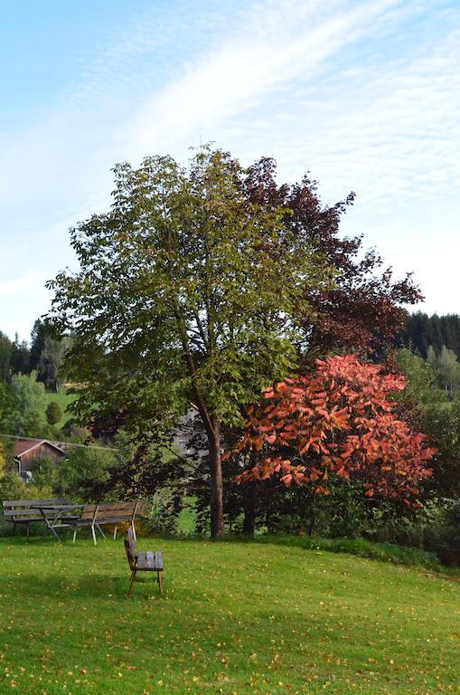 Hotel Der Baeume Drachselsried Kültér fotó